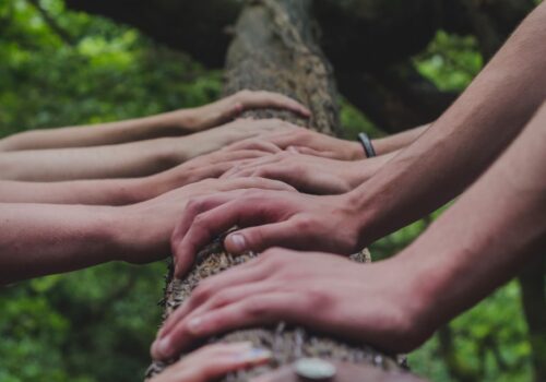 Searching, not Leaving: Exclusion, Belonging, and Becoming in Religious Communities